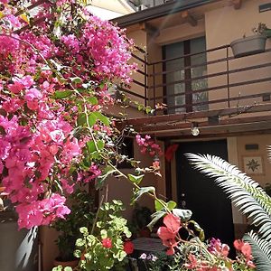 Casa holiday